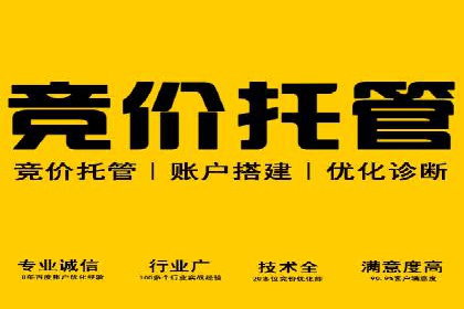 竞价广告的胜利：网络推广在金融行业的经典案例
